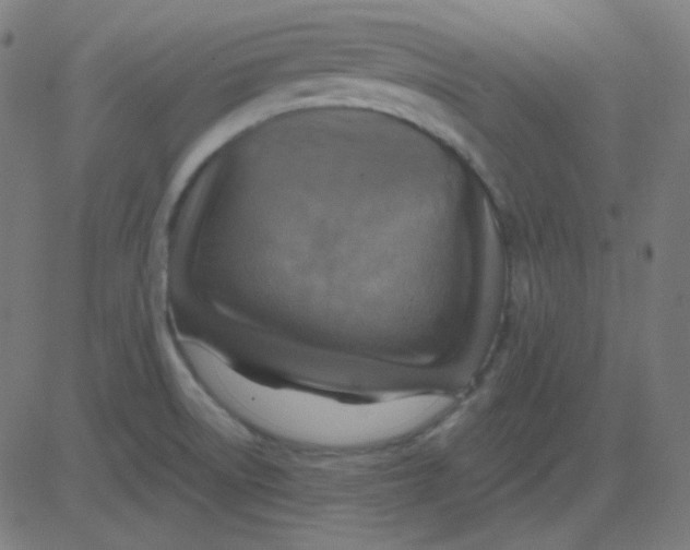 X0000081281522200702012206