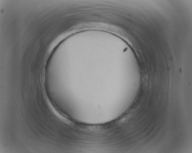 X0000081281523200702012206