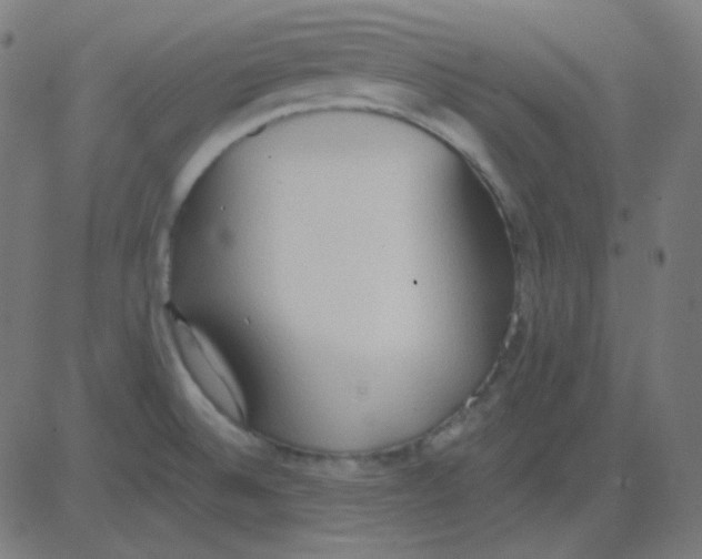 X0000081281524200702012206