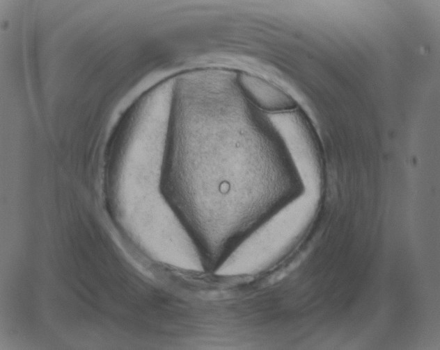 X0000081281525200702012206