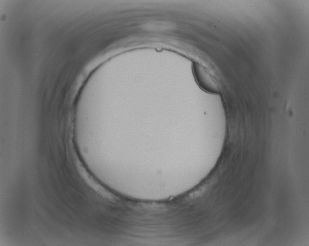 X0000081281526200702012206