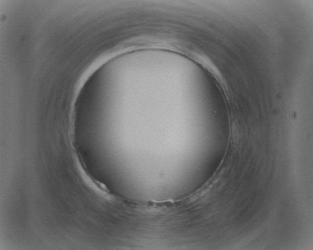 X0000081281528200702012206