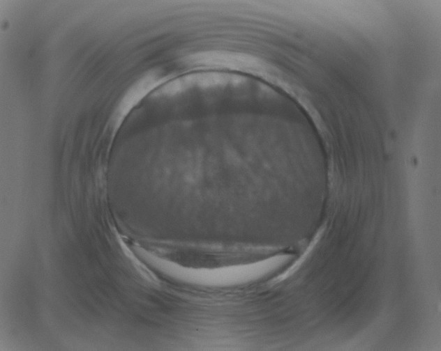 X0000081281529200702012206