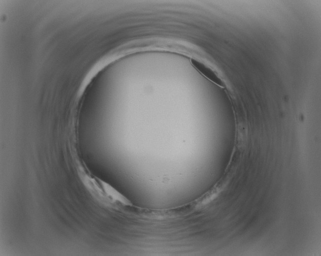 X0000081281530200702012206