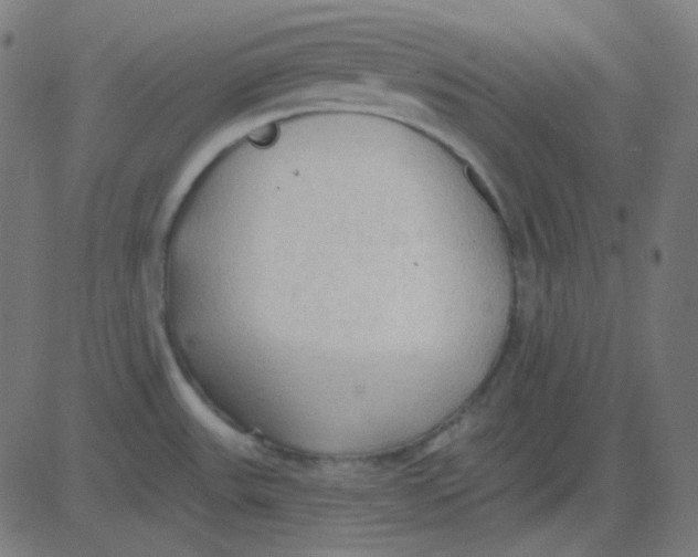 X0000081281531200702012206