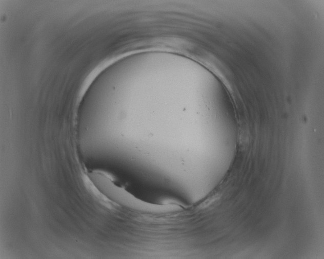 X0000081281532200702012206