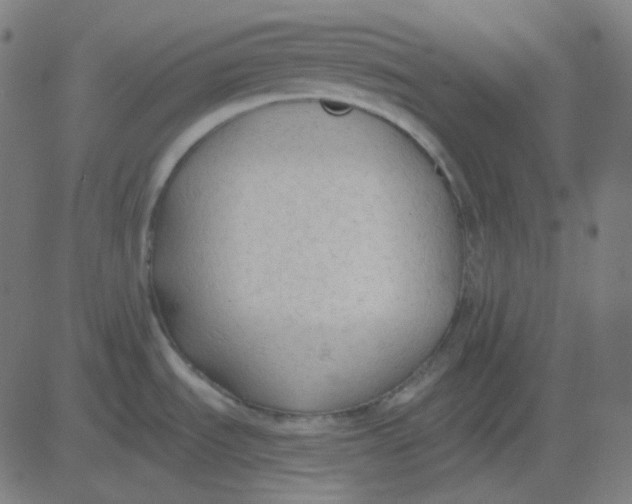 X0000081281535200702012206