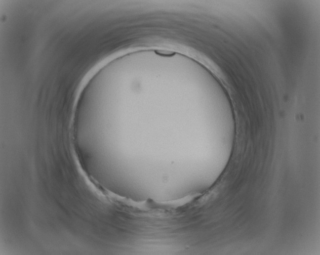 X0000081281536200702012206