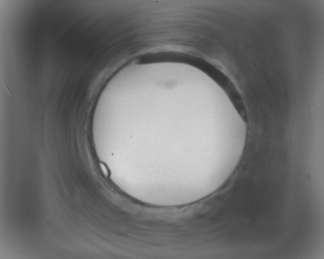 X0000081280001200702082005