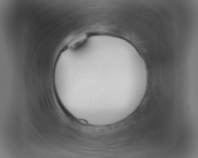 X0000081280003200702082005