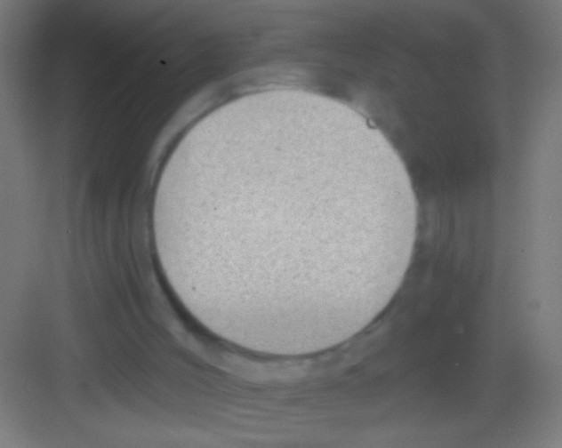 X0000081280004200702082005