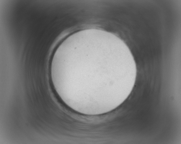 X0000081280006200702082005