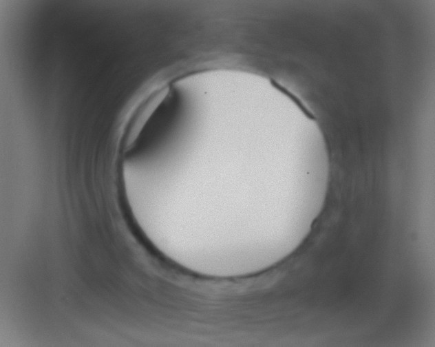 X0000081280007200702082005