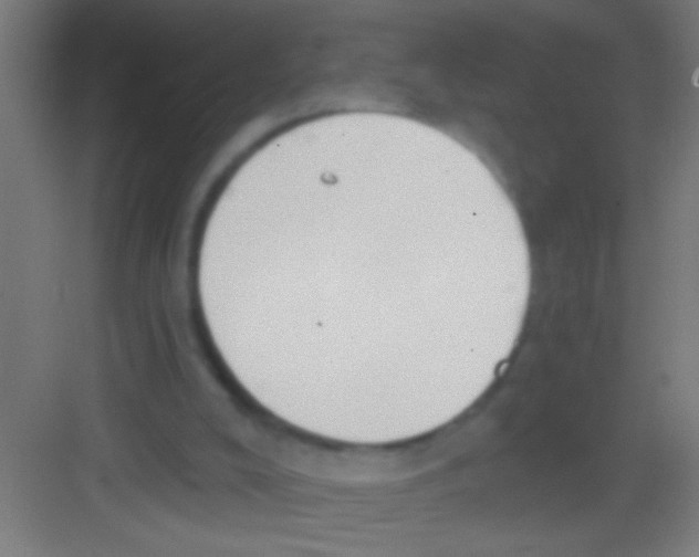 X0000081280008200702082004