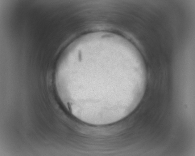 X0000081280010200702082004