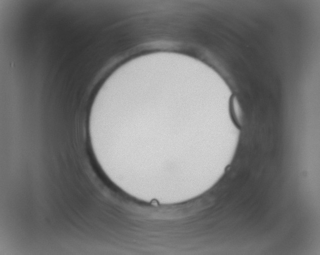 X0000081280011200702082004