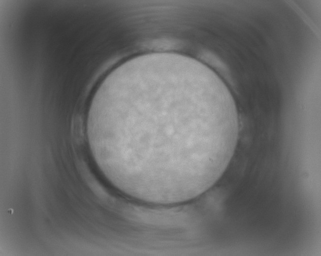 X0000081280012200702082004