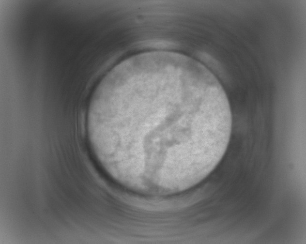 X0000081280014200702082004