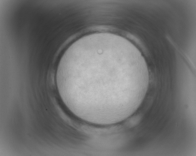 X0000081280016200702082004