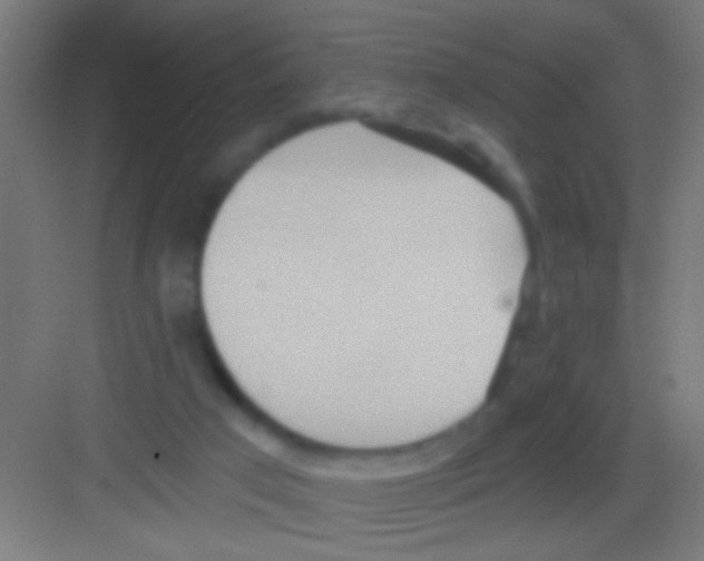 X0000081280017200702082004