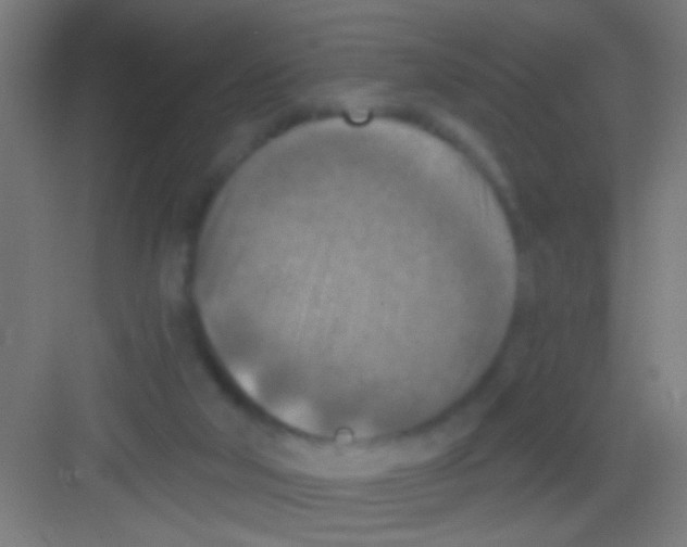 X0000081280018200702082004