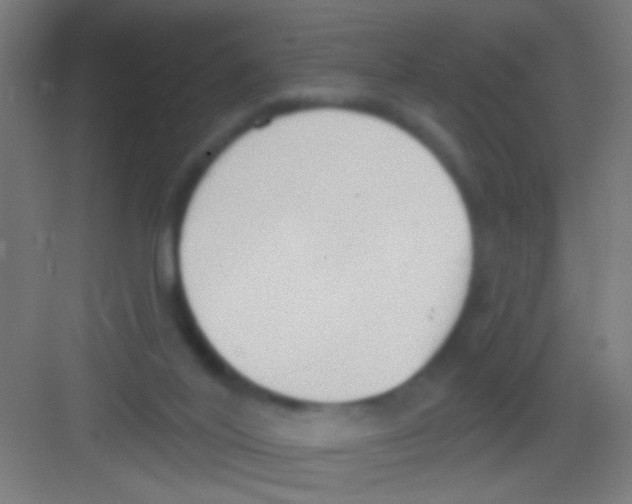 X0000081280020200702082004