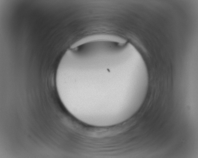 X0000081280021200702082004