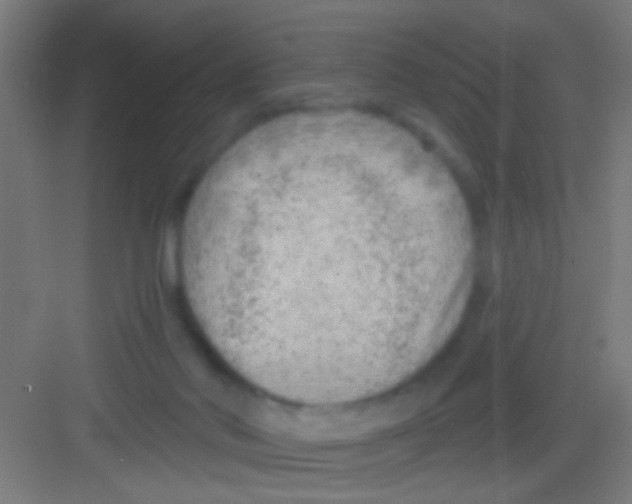 X0000081280022200702082004