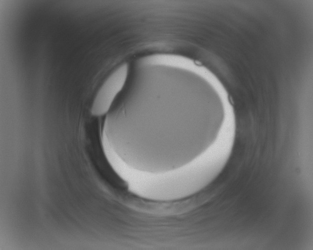 X0000081280023200702082004