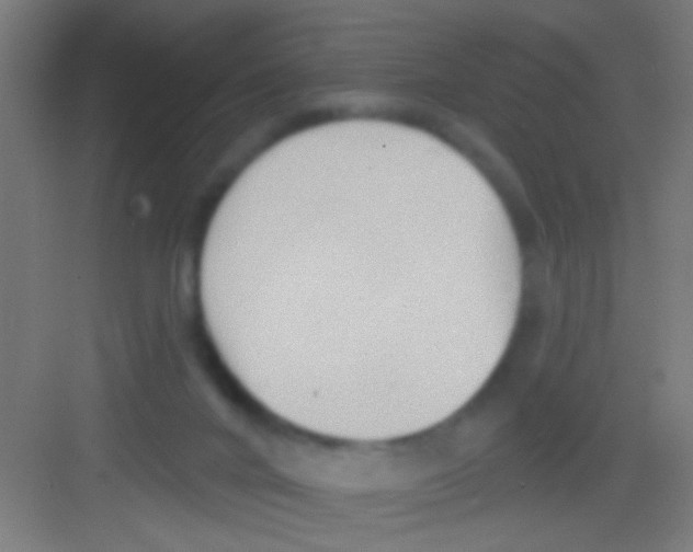 X0000081280024200702082004