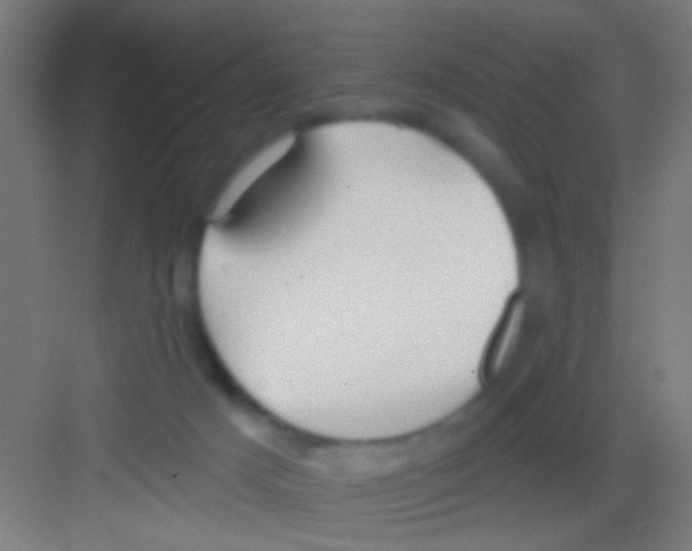 X0000081280025200702082004