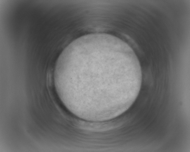 X0000081280026200702082004