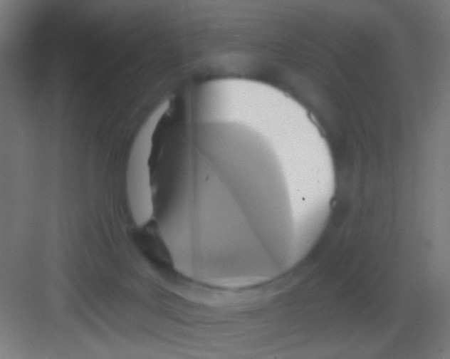 X0000081280027200702082004