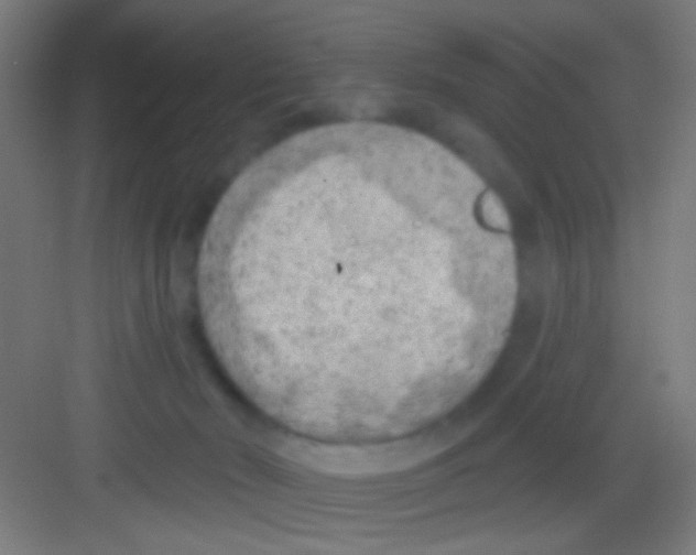 X0000081280030200702082004