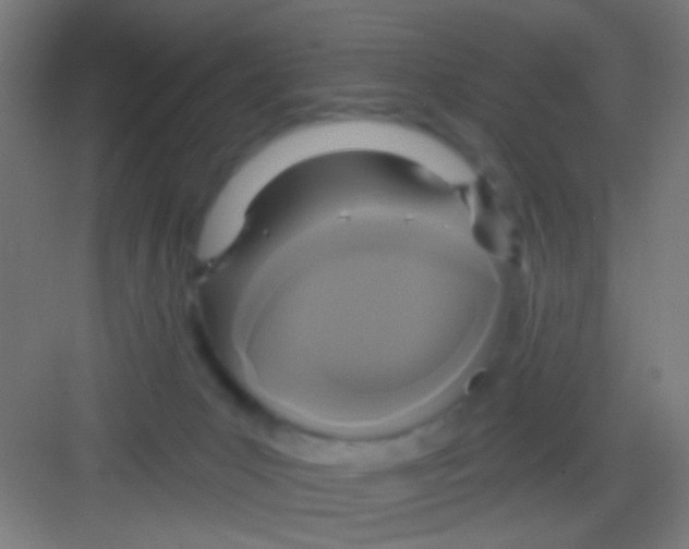 X0000081280031200702082004