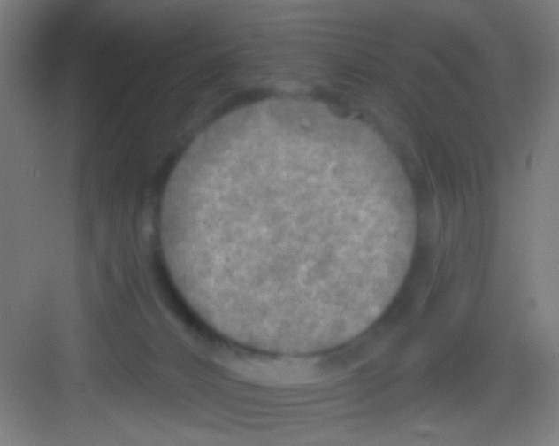 X0000081280032200702082004