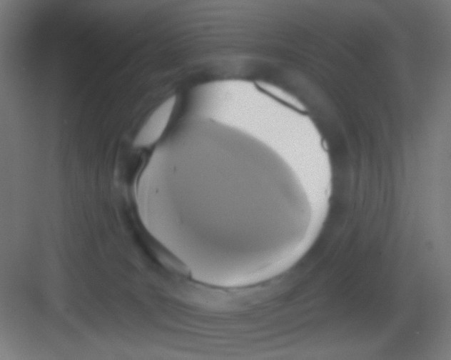 X0000081280035200702082004