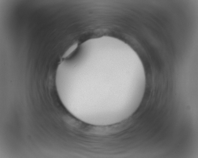 X0000081280037200702082004