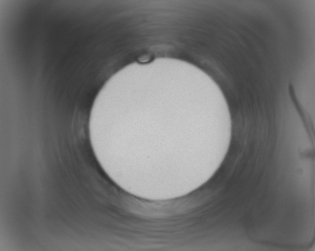 X0000081280038200702082004