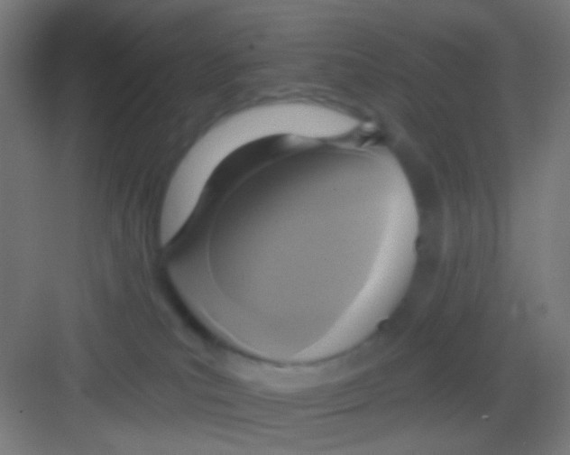 X0000081280039200702082004