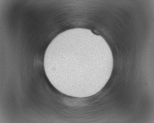 X0000081280040200702082004