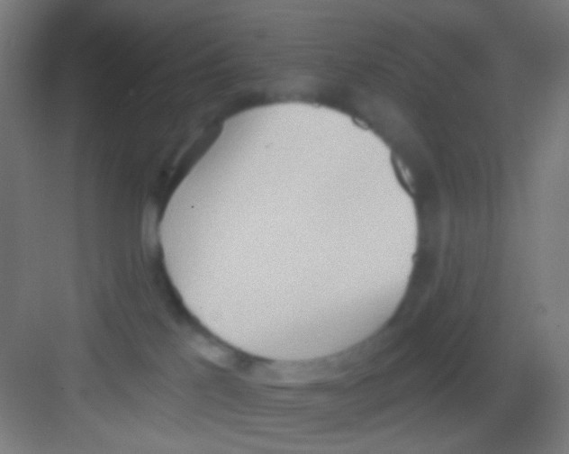 X0000081280041200702082004