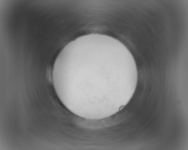 X0000081280042200702082004