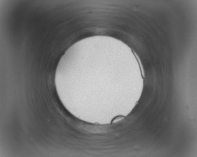 X0000081280044200702082004