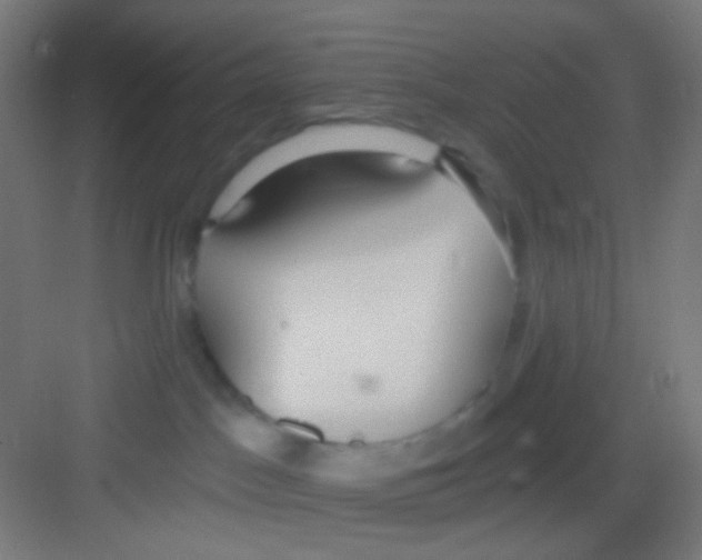 X0000081280045200702082004