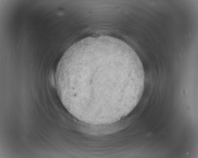 X0000081280046200702082004