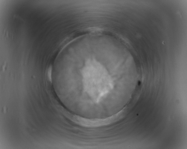 X0000081280047200702082004