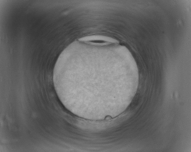 X0000081280048200702082004