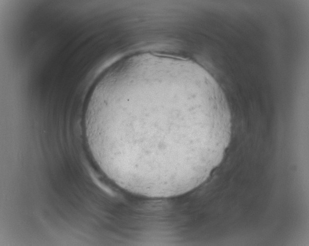 X0000081280050200702082003