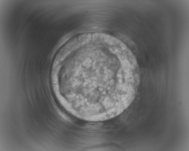 X0000081280051200702082003